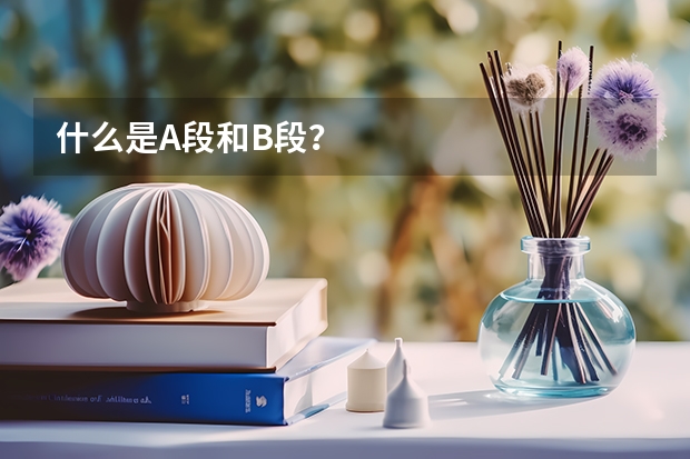 什么是A段和B段？