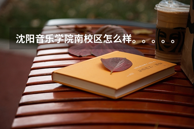 沈阳音乐学院南校区怎么样。。。。。求个学长来解答或比较了解沈音南校区的人解答。。。。
