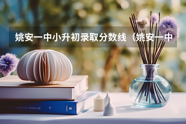 姚安一中小升初录取分数线（姚安一中录取分数线）