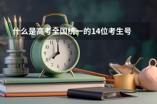 什么是高考全国统一的14位考生号