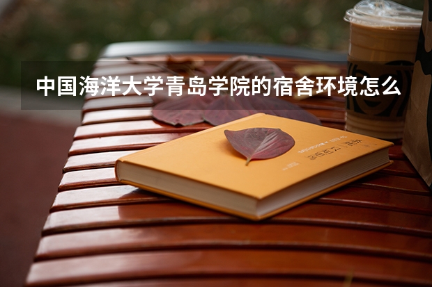 中国海洋大学青岛学院的宿舍环境怎么样。