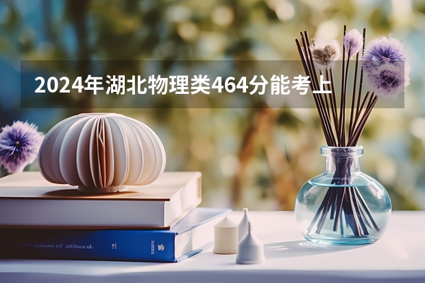 2024年湖北物理类464分能考上什么大学？