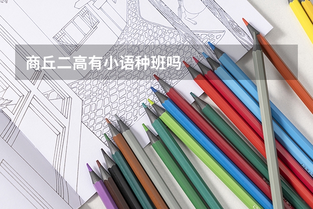 商丘二高有小语种班吗