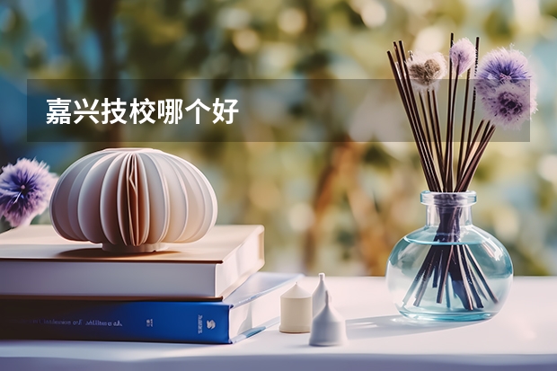 嘉兴技校哪个好
