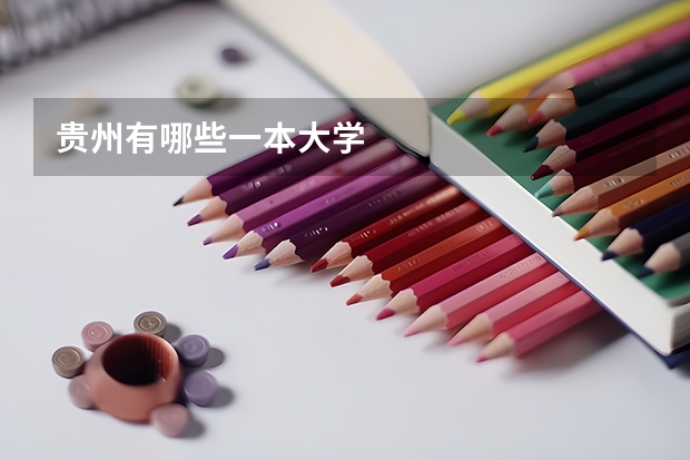 贵州有哪些一本大学