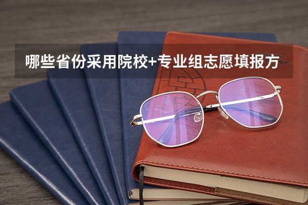 哪些省份采用院校+专业组志愿填报方式