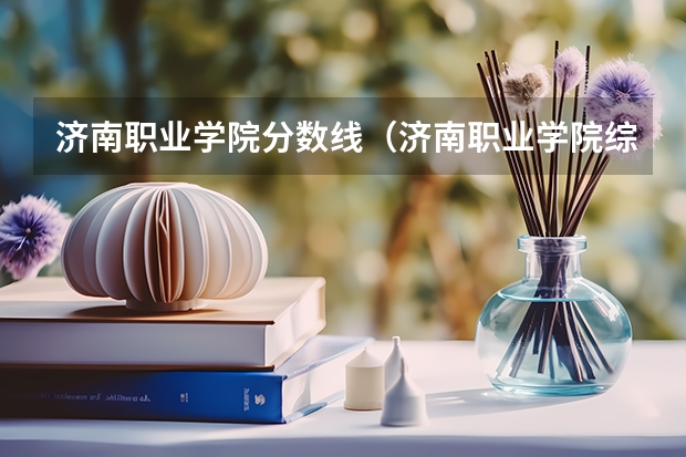 济南职业学院分数线（济南职业学院综评分数线）