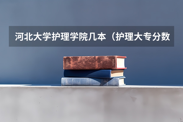 河北大学护理学院几本（护理大专分数线2023）