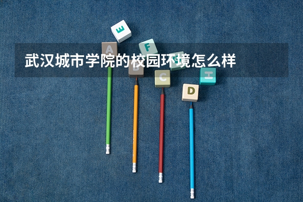 武汉城市学院的校园环境怎么样
