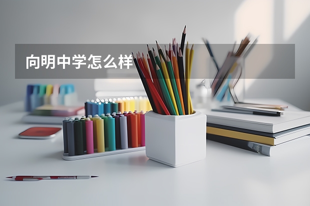 向明中学怎么样