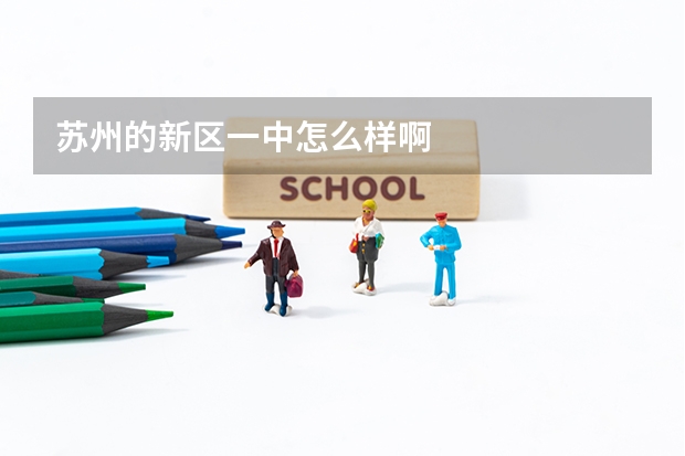 苏州的新区一中怎么样啊