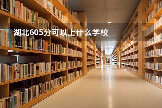 湖北605分可以上什么学校