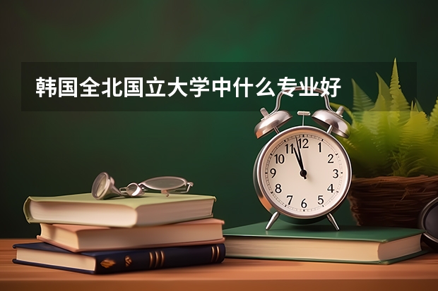 韩国全北国立大学中什么专业好