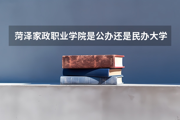 菏泽家政职业学院是公办还是民办大学？（菏泽家政职业学院是公办还是民办）