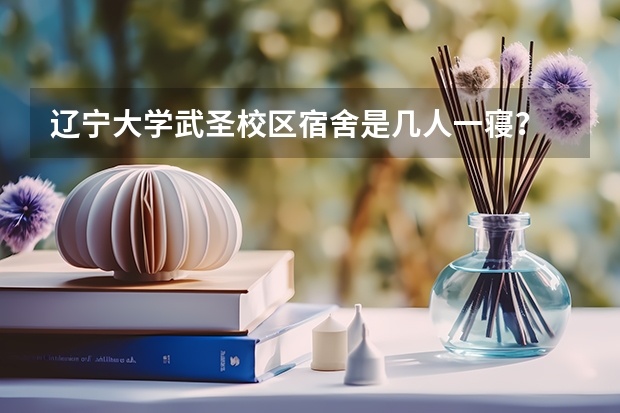 辽宁大学武圣校区宿舍是几人一寝？ 辽宁大学（辽阳武圣）住宿情况介绍一下