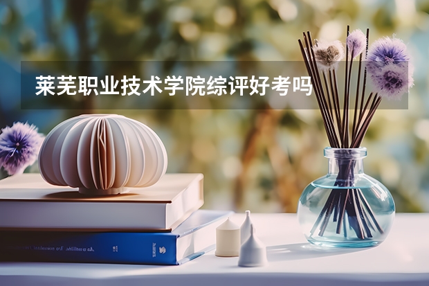 莱芜职业技术学院综评好考吗