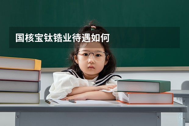 国核宝钛锆业待遇如何