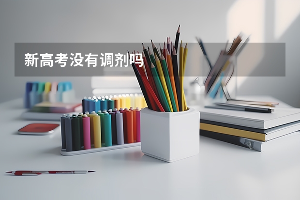 新高考没有调剂吗