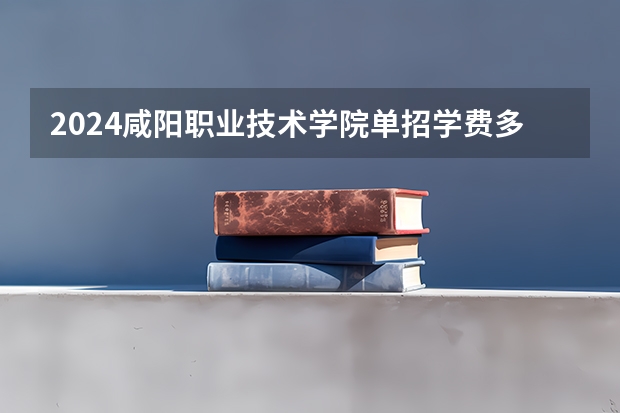 2024咸阳职业技术学院单招学费多少钱一年