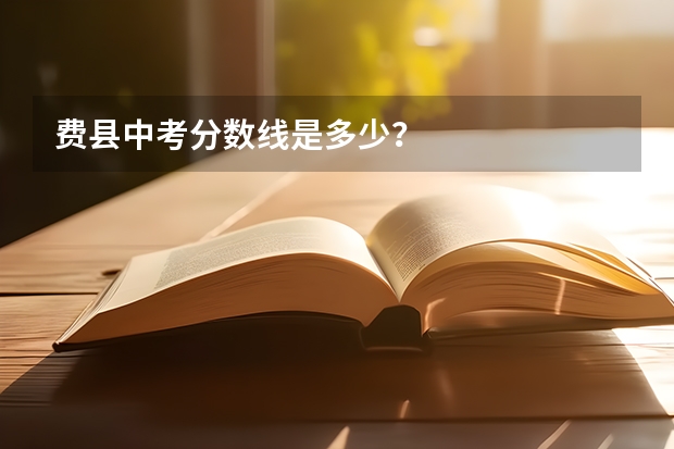 费县中考分数线是多少？
