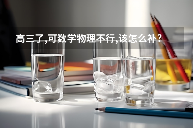 高三了,可数学物理不行,该怎么补?大神们帮帮忙