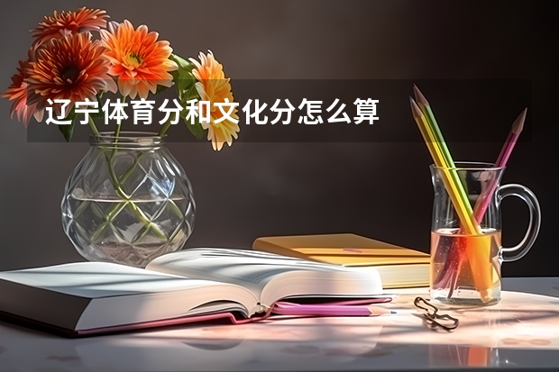 辽宁体育分和文化分怎么算