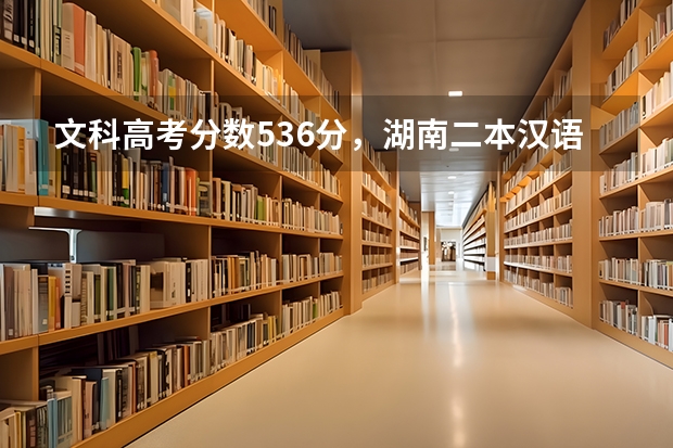 文科高考分数536分，湖南二本汉语言文学专业有哪些大学？