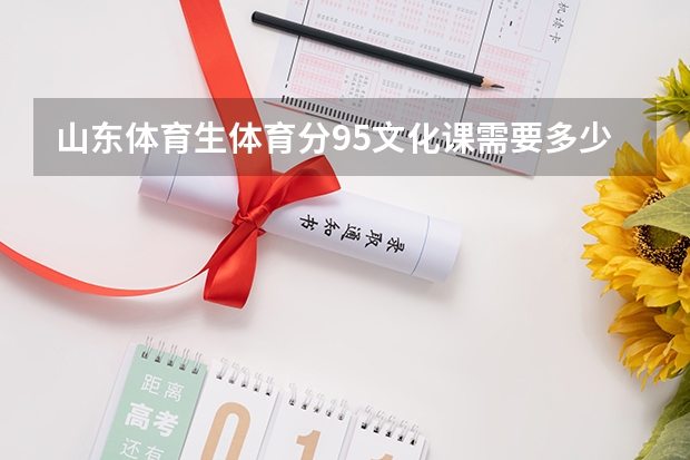 山东体育生体育分95文化课需要多少分能上本科