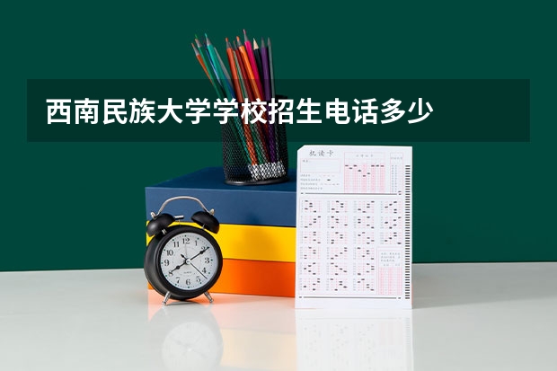 西南民族大学学校招生电话多少