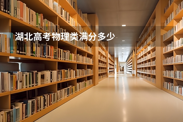湖北高考物理类满分多少