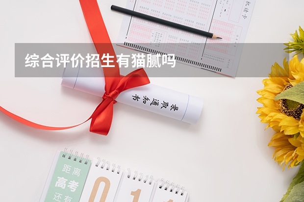 综合评价招生有猫腻吗