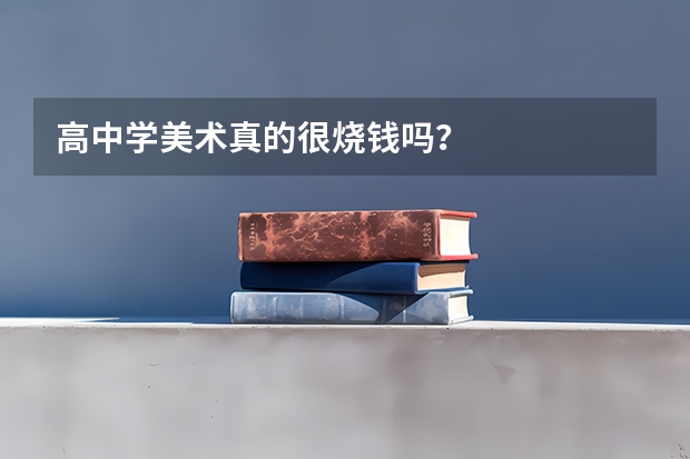 高中学美术真的很烧钱吗？