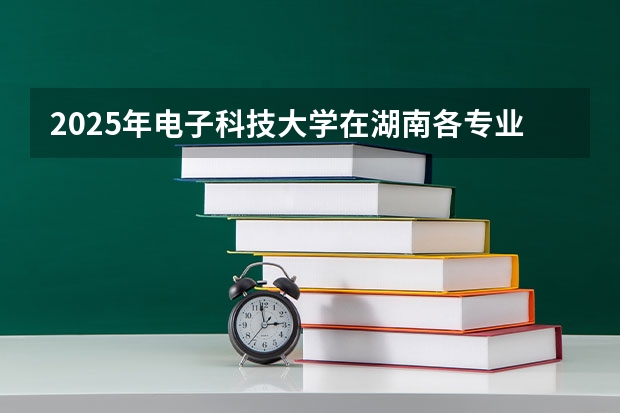 2025年电子科技大学在湖南各专业都招多少人