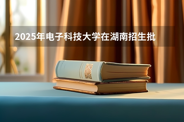 2025年电子科技大学在湖南招生批次和专业