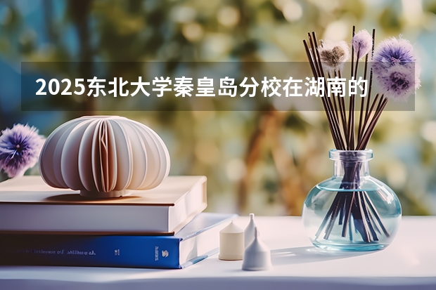 2025东北大学秦皇岛分校在湖南的招生情况介绍