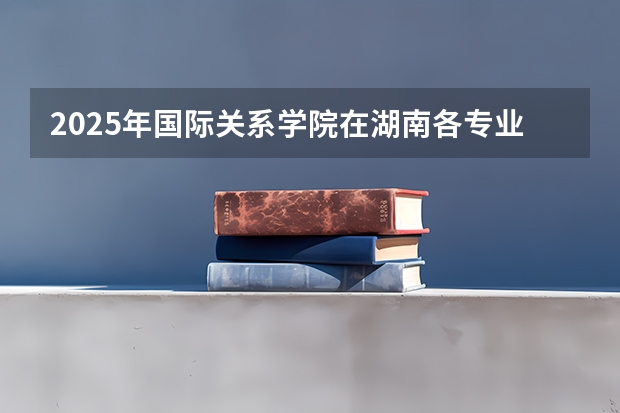 2025年国际关系学院在湖南各专业都招多少人