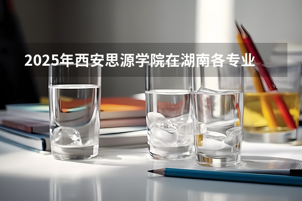 2025年西安思源学院在湖南各专业都招多少人