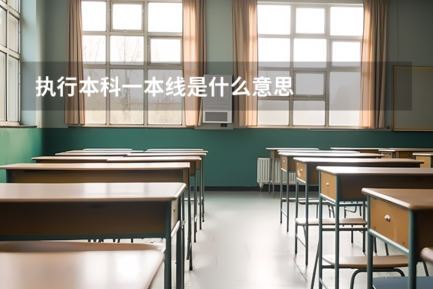 执行本科一本线是什么意思