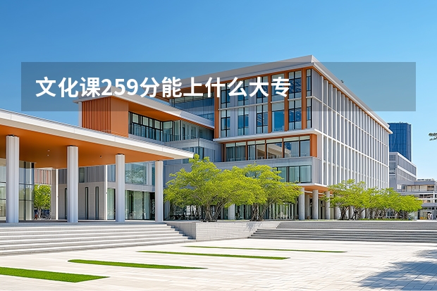 文化课259分能上什么大专