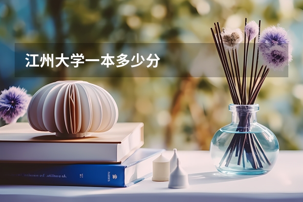 江州大学一本多少分