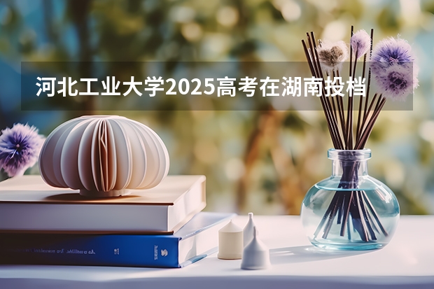 河北工业大学2025高考在湖南投档分数线