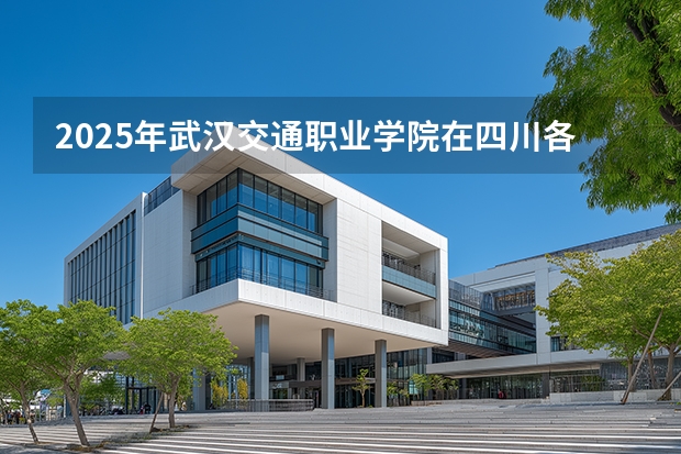 2025年武汉交通职业学院在四川各专业都招多少人