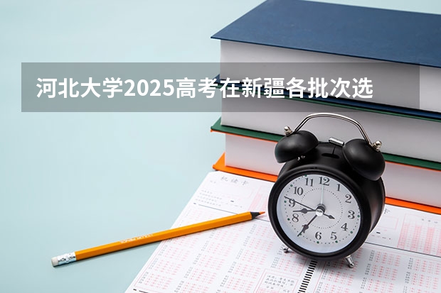 河北大学2025高考在新疆各批次选科要求如何