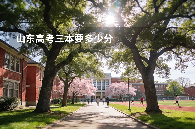 山东高考三本要多少分