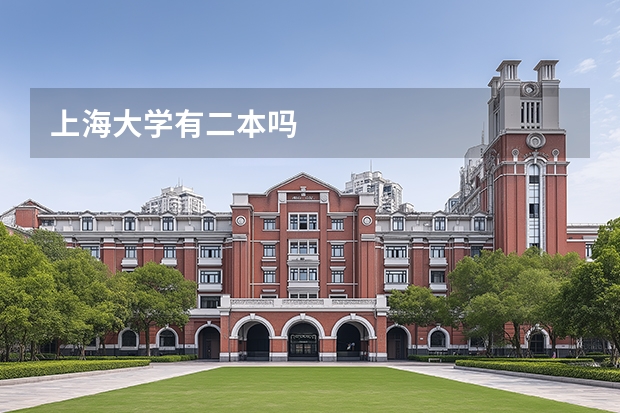 上海大学有二本吗