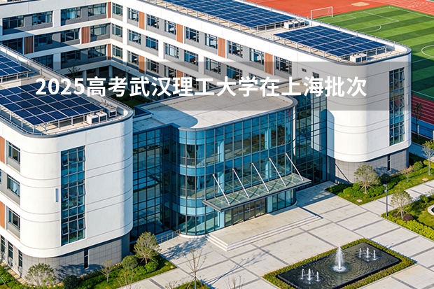 2025高考武汉理工大学在上海批次选科要求有哪些