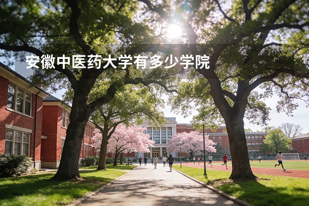 安徽中医药大学有多少学院