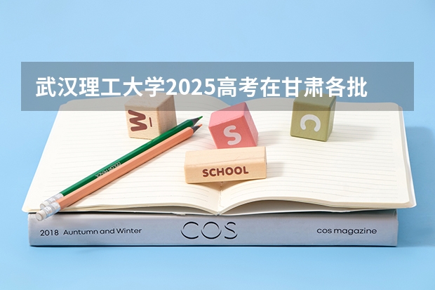 武汉理工大学2025高考在甘肃各批次选科要求如何