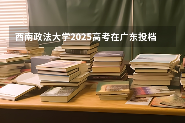 西南政法大学2025高考在广东投档分数线