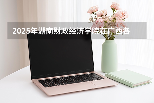 2025年湖南财政经济学院在广西各专业都招多少人（2026参考）